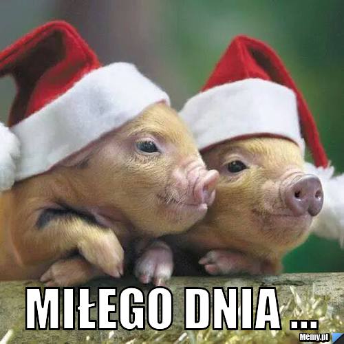  MIŁEGO DNIA ...