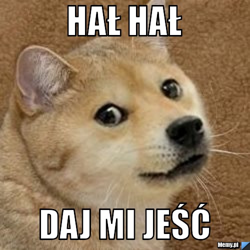 Hał hał  daj mi jeść