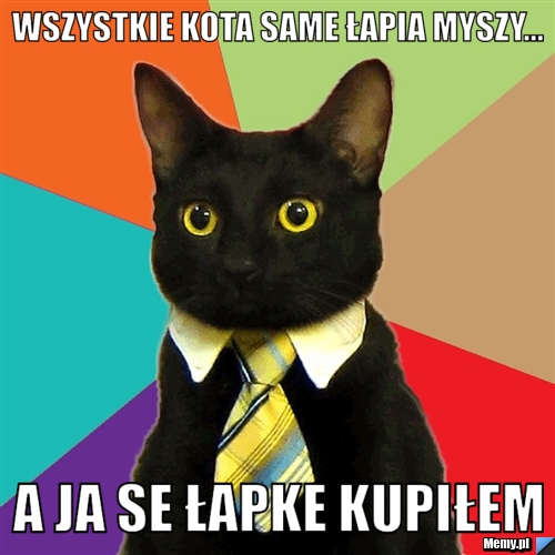 Wszystkie Kota same łapia myszy... A ja se łapke kupiłem