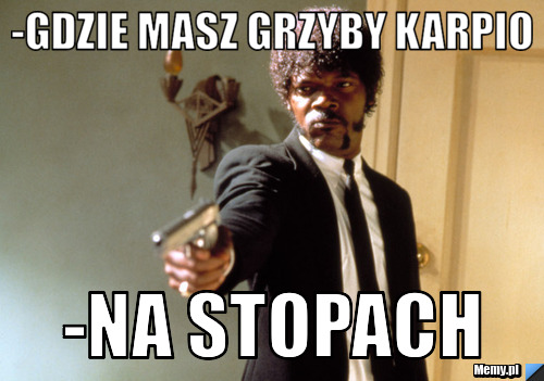 -GDZIE MASZ GRZYBY KARPIO -NA STOPACH