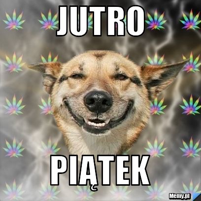 Jutro piątek