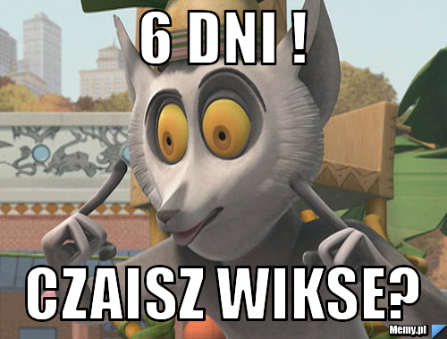 6 dni ! CZAISZ WIKSE?