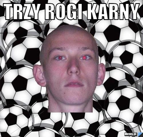 TRZY ROGI KARNY 