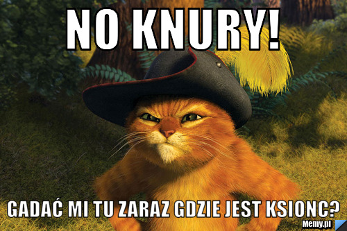 No Knury!  Gadać mi tu zaraz gdzie jest KSIONC?