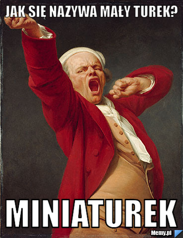 Jak się nazywa mały Turek?  MINIATUREK