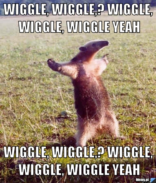Wiggle, wiggle,﻿ wiggle, wiggle, wiggle yeah Wiggle, wiggle,﻿ wiggle, wiggle, wiggle yeah