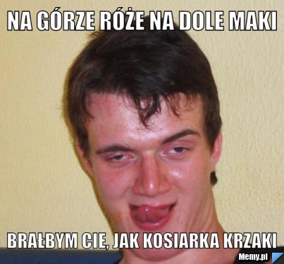 Na górze róże na dole maki brałbym cie, jak kosiarka krzaki 