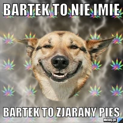 Bartek to nie imie bartek to zjarany pies
