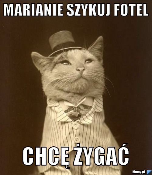 Marianie szykuj fotel  chcę żygać 