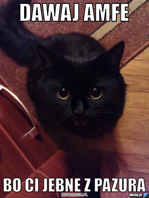 Dawaj amfe  bo ci jebne z pazura