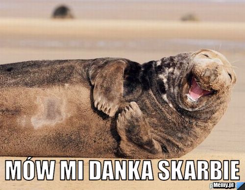  mów mi danka skarbie