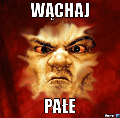 Wąchaj pałe