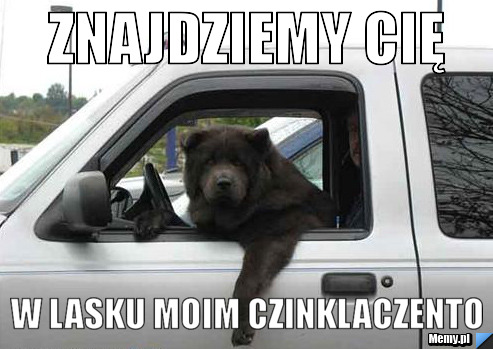 ZNAJDZIEMY CIĘ W LASKU MOIM CZINKLACZENTO