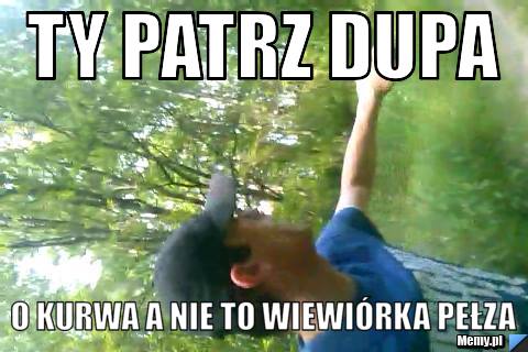 Ty patrz dupa o kurwa a nie to wiewiórka pełza