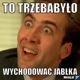 To trzebabyło wychodować jabłka