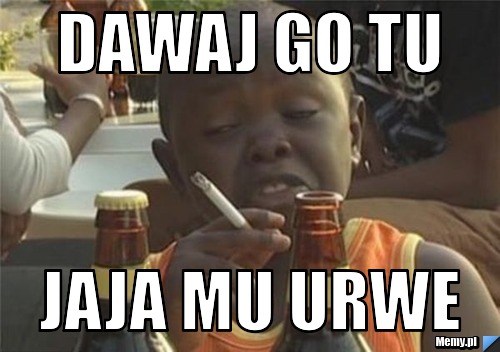 Dawaj go tu jaja mu urwe
