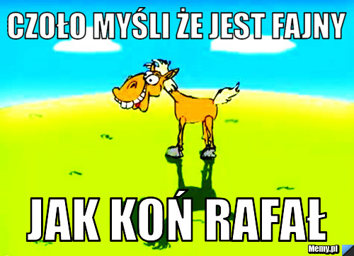 CZOŁO MYŚLI ŻE JEST FAJNY  JAK KOŃ RAFAŁ