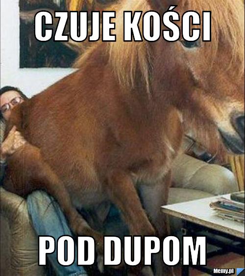 Czuje kości  POD DUPOM