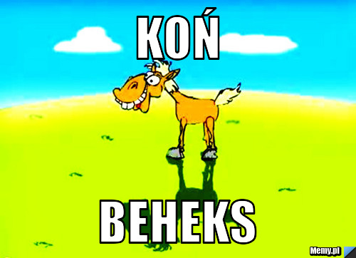 Koń beheks