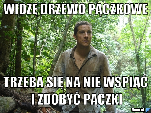 WIDZĘ DRZEWO PĄCZKOWE TRZEBA SIĘ NA NIE WSPIĄĆ I ZDOBYĆ PĄCZKI