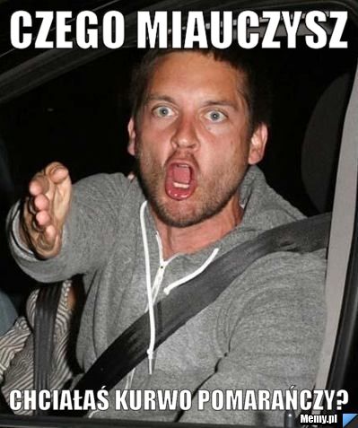 CZEGO MIAUCZYSZ CHCIAŁAŚ KURWO POMARAŃCZY?