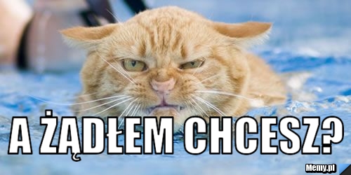  a żądłem chcesz?