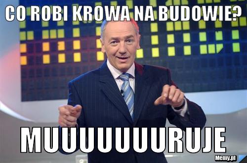 Co robi krowa na budowie? MUUUUUUUruje