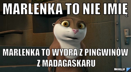 Marlenka to nie imię Marlenka to wydra z Pingwinów z Madagaskaru