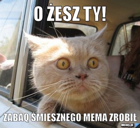 O żesz ty! Zabaq śmiesznego mema zrobił