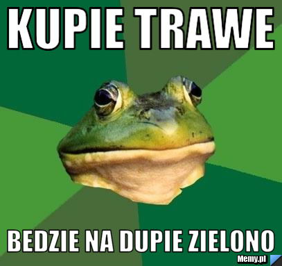 Kupie trawe bedzie na dupie zielono