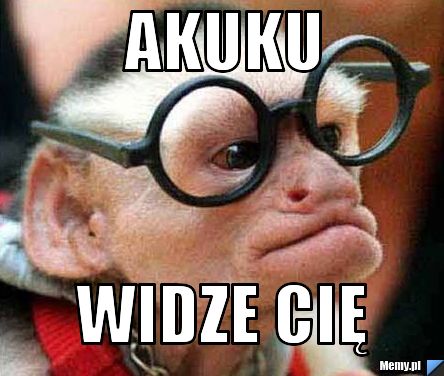 Akuku Widze Cię