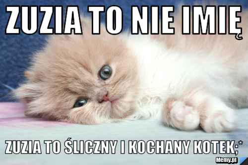 Zuzia to nie imię  Zuzia to śliczny i kochany kotek;*