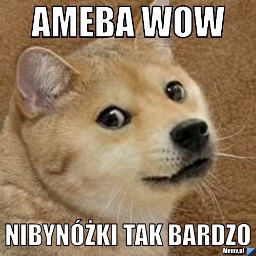 Ameba wow Nibynóżki tak bardzo