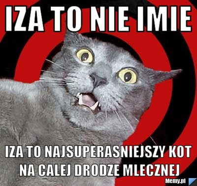 Iza to nie imie iza to najsuperasniejszy kot na calej drodze mlecznej