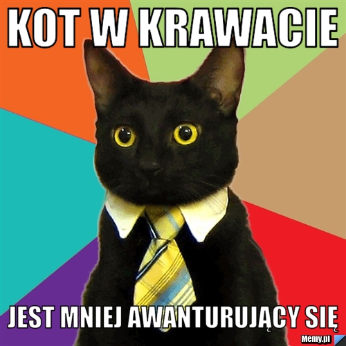 Kot w krawacie jest mniej awanturujący się