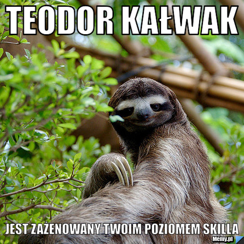TEODOR KAŁWAK  JEST ZAŻENOWANY TWOIM POZIOMEM SKILLA