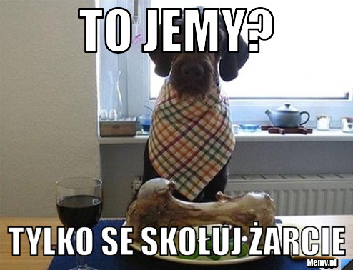 TO JEMY? TYLKO SE SKOŁUJ ŻARCIE