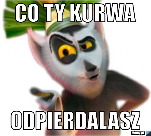 Co ty kurwa odpierdalasz