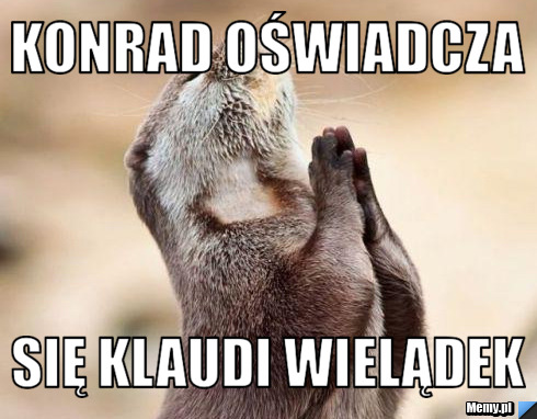 Konrad oświadcza się klaudi wielądek