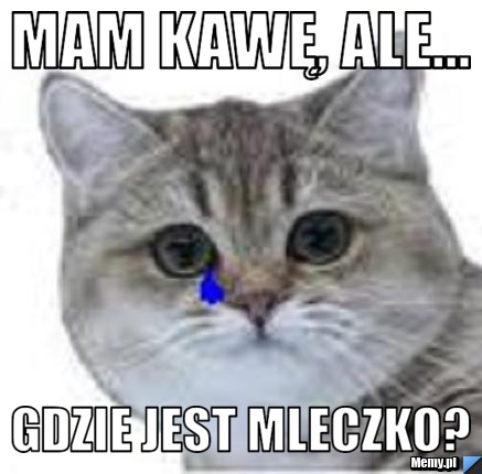 Mam kawę, ale... GDZIE JEST MLECZKO?