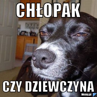 Chłopak  czy dziewczyna