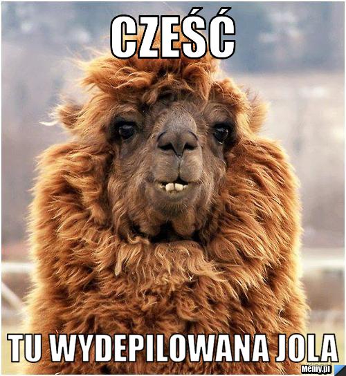 Cześć Tu wydepilowana Jola