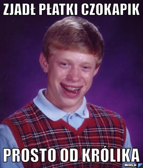 Zjadł płatki czokapik Prosto od królika