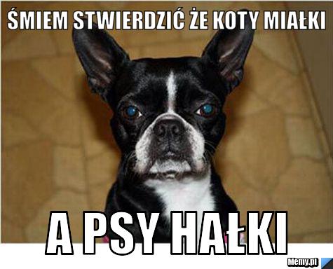 ŚMIEM STWIERDZIĆ ŻE KOTY MIAŁKI A PSY HAŁKI