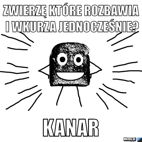 Zwierzę które rozbawia i wkurza jednocześnie? Kanar