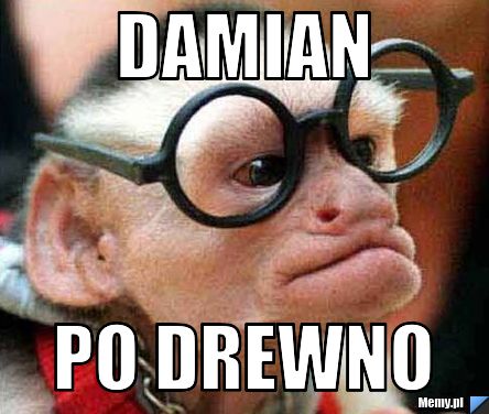 Damian po drewno