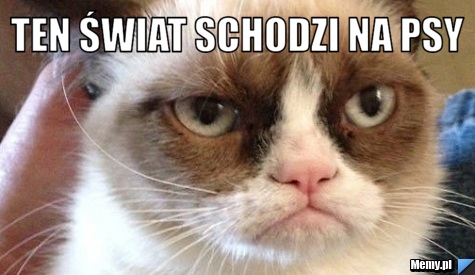 Ten świat schodzi na psy 