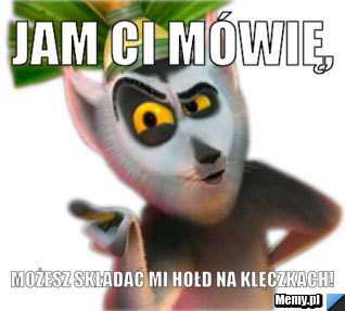 Jam Ci mówię, możesz składać mi hołd na klęczkach!