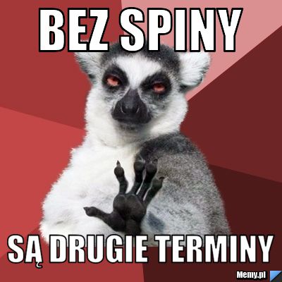 Bez spiny są drugie terminy