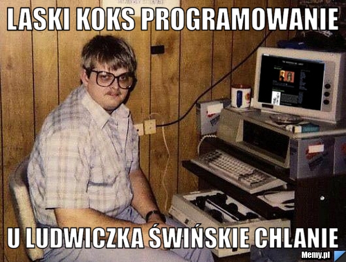 Laski Koks Programowanie u ludwiczka świńskie chlanie